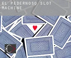 El Pedernoso  slot machine