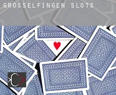 Grosselfingen  slots