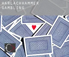 Harlachhammer  gambling