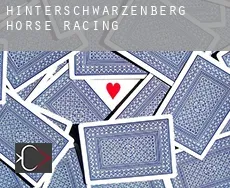 Hinterschwarzenberg horse racing