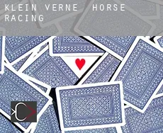 Klein Verne  horse racing