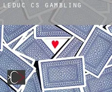 Leduc (census area)  gambling