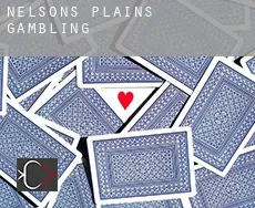 Nelsons Plains  gambling
