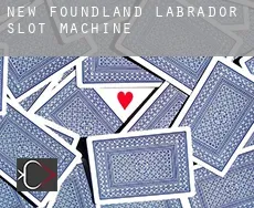 Newfoundland and Labrador  slot machine