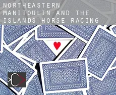 Northeastern Manitoulin and the Islands  horse racing