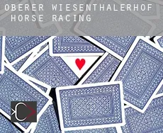 Oberer Wiesenthalerhof  horse racing