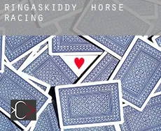 Ringaskiddy  horse racing