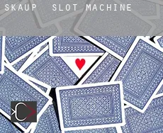 Skaup  slot machine