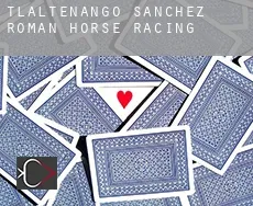 Tlaltenango de Sánchez Román  horse racing