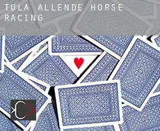 Tula de Allende  horse racing