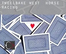Tweelbäke West horse racing
