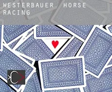 Westerbauer  horse racing