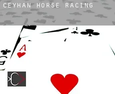 Ceyhan horse racing