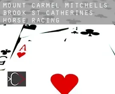 Mount Carmel-Mitchells Brook-St. Catherines  horse racing