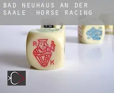 Bad Neuhaus an der Saale horse racing