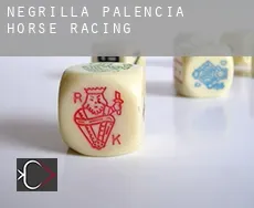 Negrilla de Palencia  horse racing