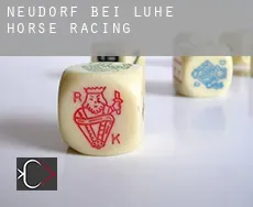 Neudorf bei Luhe horse racing
