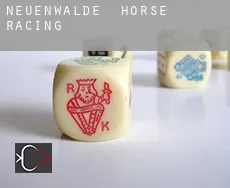 Neuenwalde  horse racing