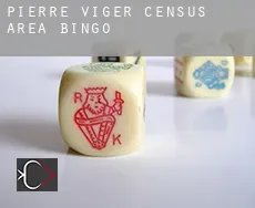 Pierre-Viger (census area)  bingo