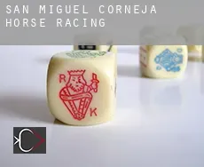 San Miguel de Corneja  horse racing