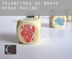 Tulancingo  horse racing