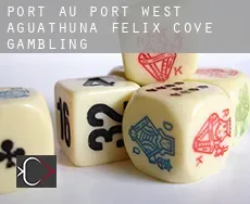 Port au Port West-Aguathuna-Felix Cove  gambling