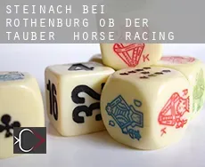 Steinach bei Rothenburg ob der Tauber  horse racing
