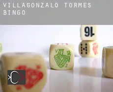 Villagonzalo de Tormes  bingo