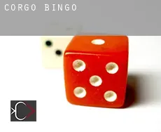 Corgo  bingo