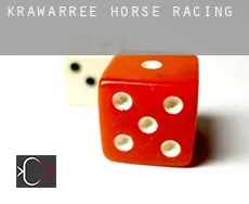 Krawarree horse racing