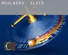 Mühlberg  slots