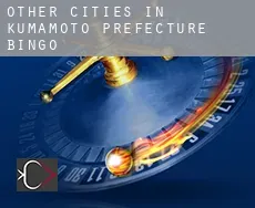 Other Cities in Kumamoto Prefecture  bingo