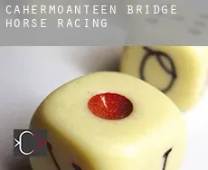 Cahermoanteen Bridge  horse racing