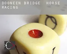 Dooneen Bridge  horse racing