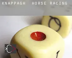 Knappagh  horse racing