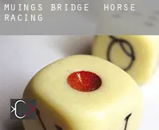 Muings Bridge  horse racing