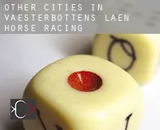 Other cities in Vaesterbottens Laen horse racing