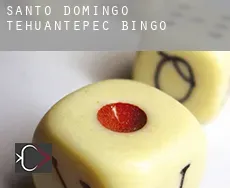 Santo Domingo Tehuantepec  bingo