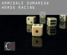 Armidale Dumaresq  horse racing