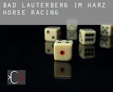 Bad Lauterberg im Harz  horse racing