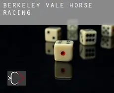 Berkeley Vale horse racing