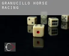 Granucillo horse racing