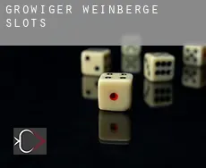 Großwiger Weinberge slots
