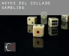 Hoyos del Collado  gambling
