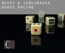 Návsí u Jablunkova  horse racing