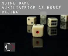 Notre-Dame-Auxiliatrice (census area)  horse racing