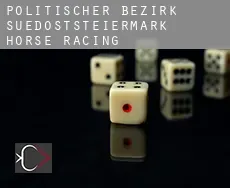 Politischer Bezirk Suedoststeiermark  horse racing