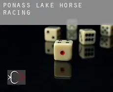 Ponass Lake  horse racing
