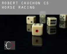 Robert-Cauchon (census area)  horse racing