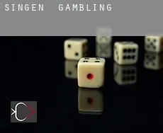 Singen gambling
